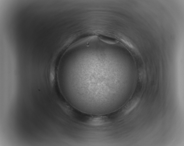 X0000101960072200807251203