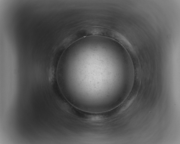 X0000101960073200807251203