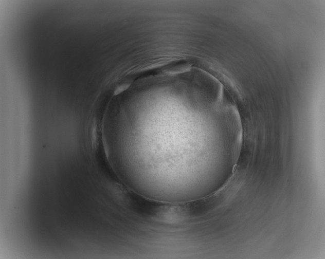 X0000101960074200807251203