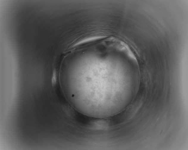 X0000101960075200807251203