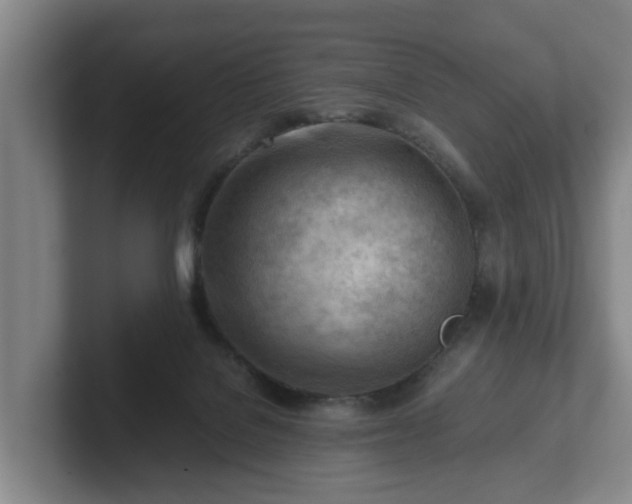 X0000101960076200807251203