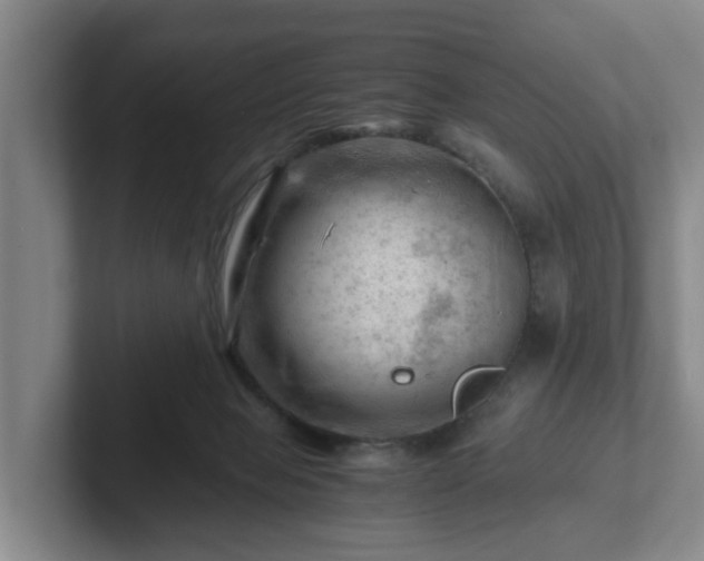 X0000101960077200807251203