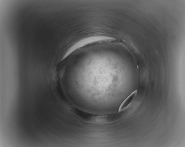 X0000101960078200807251203