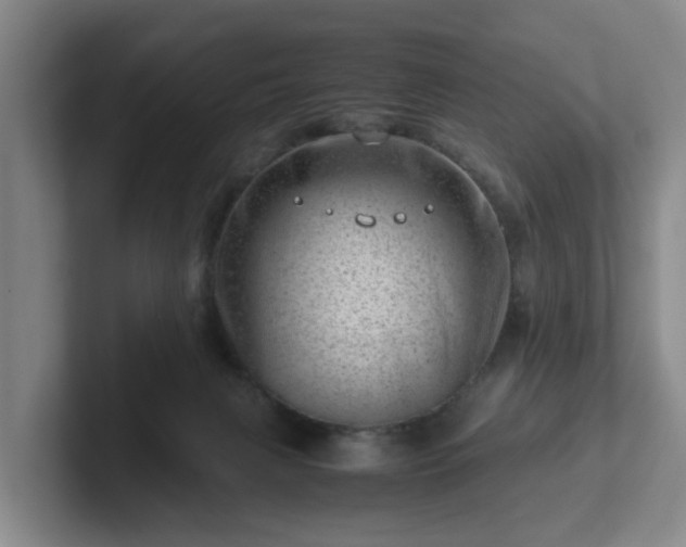 X0000101960079200807251203