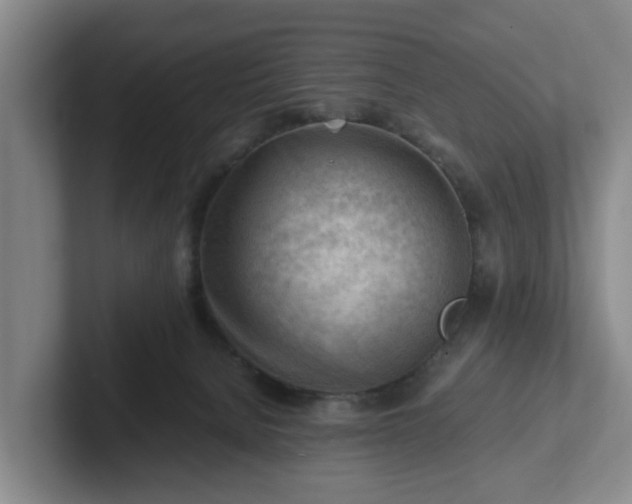 X0000101960080200807251203