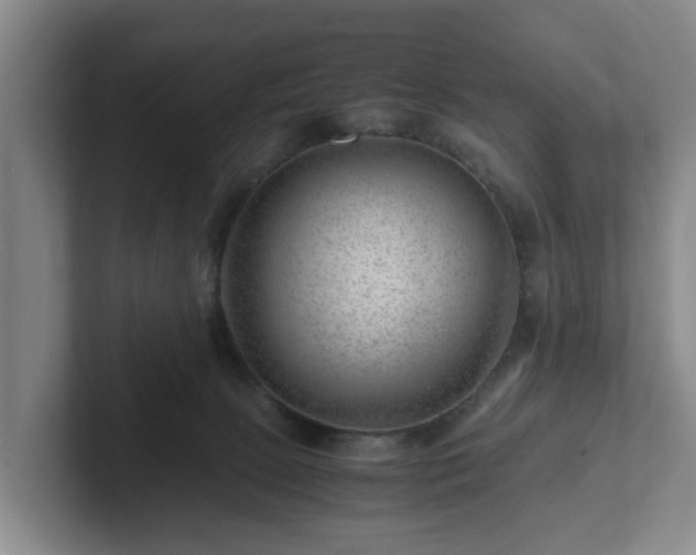 X0000101960081200807251203