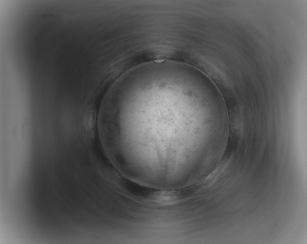 X0000101960082200807251203