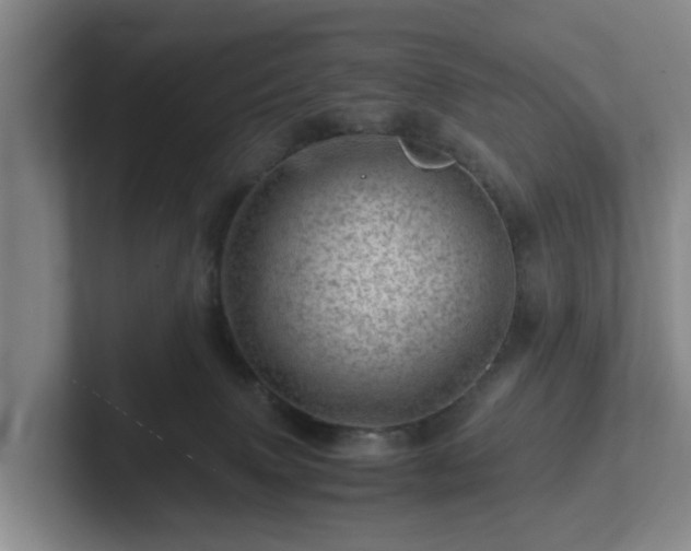 X0000101960083200807251203