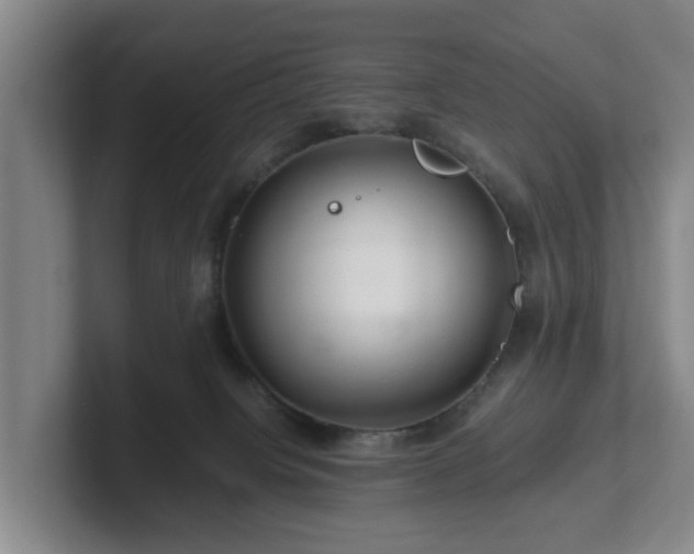 X0000101960084200807251203