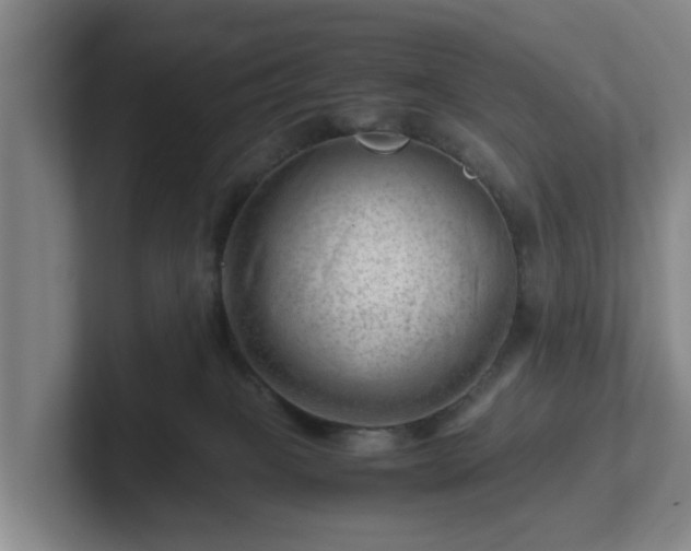 X0000101960085200807251203