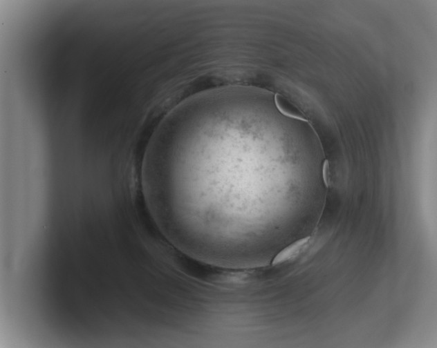 X0000101960086200807251203