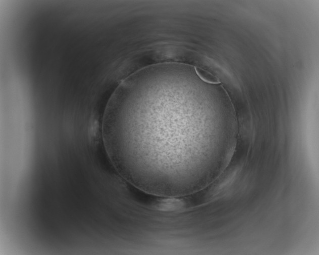 X0000101960087200807251203