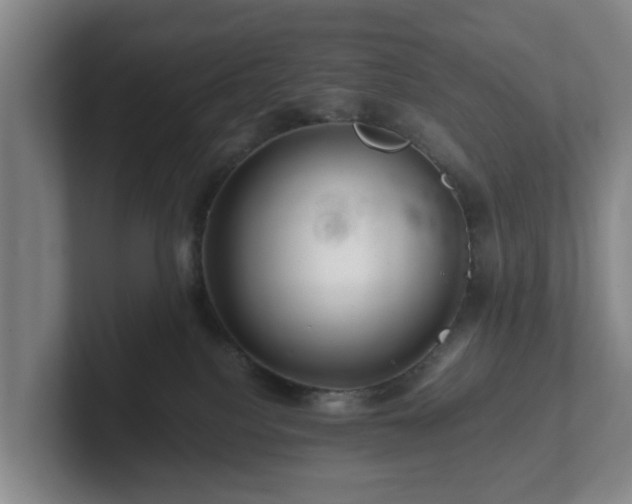 X0000101960088200807251203