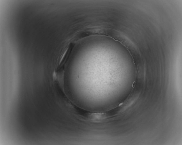 X0000101960089200807251203