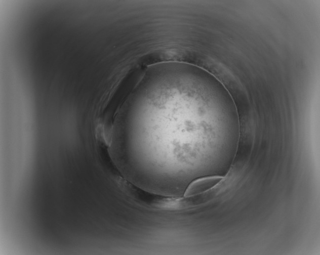 X0000101960090200807251203