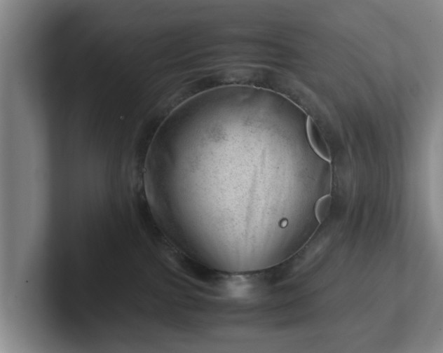 X0000101960091200807251203