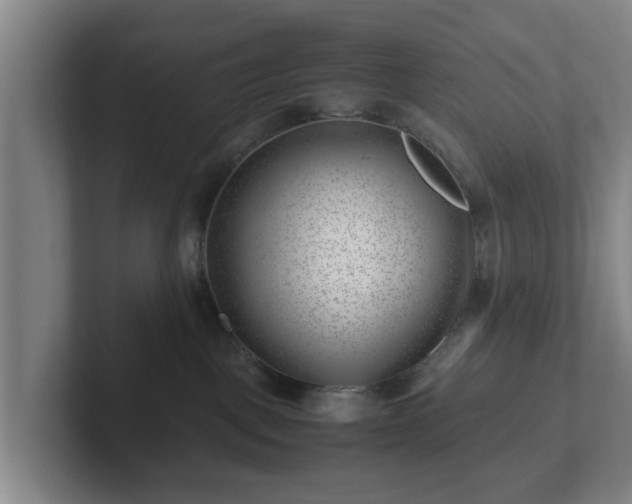 X0000101960093200807251203