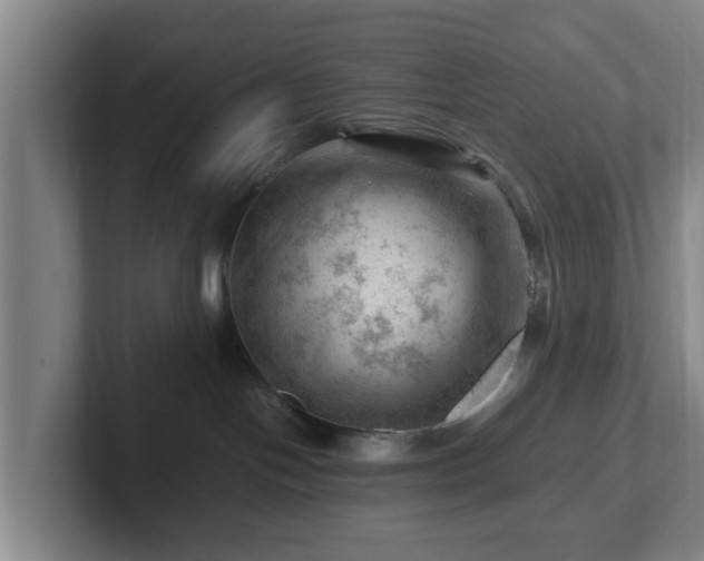 X0000101960094200807251203