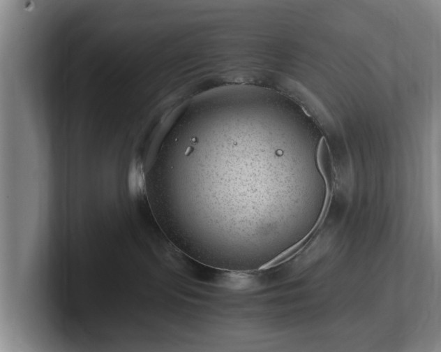 X0000101960095200807251203