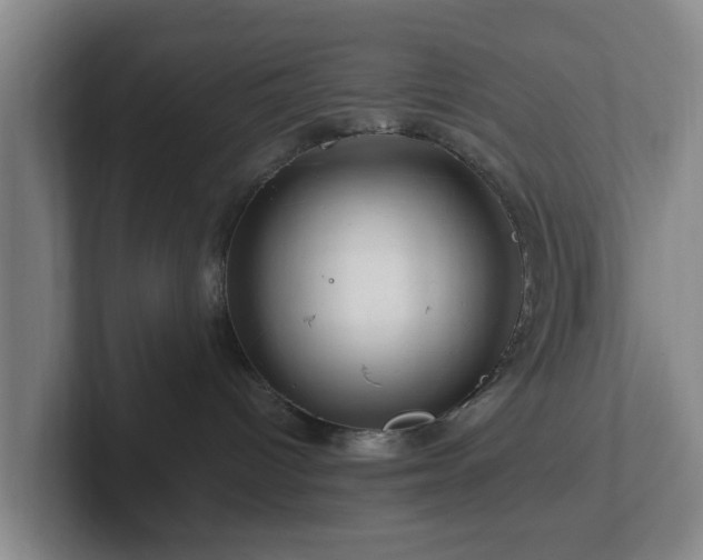 X0000101960096200807251203