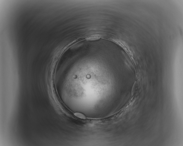 X0000101960097200807251203