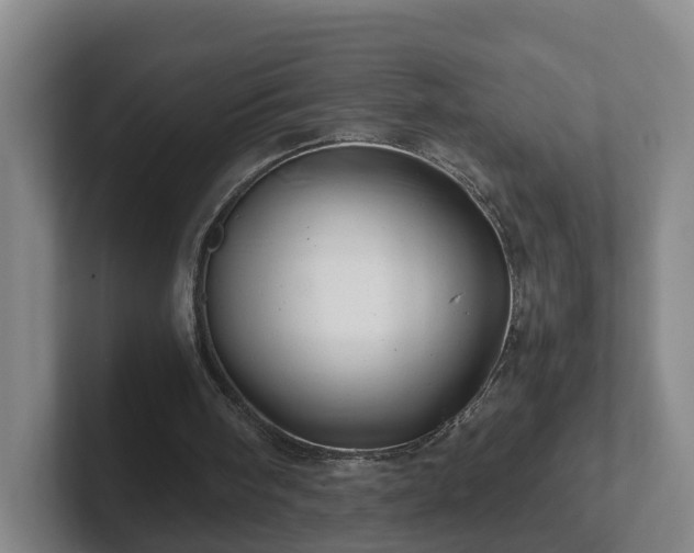 X0000101960098200807251203