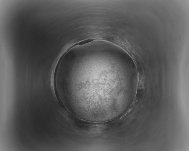 X0000101960099200807251203