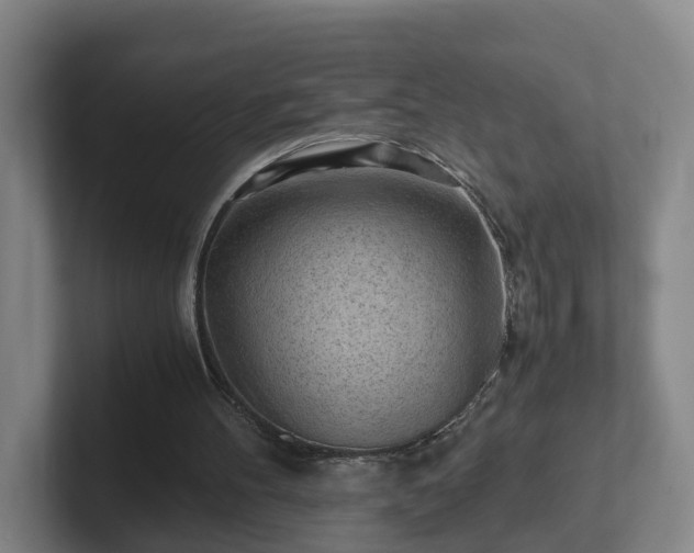 X0000101960100200807251203