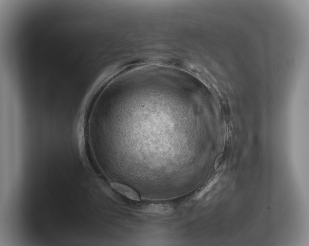 X0000101960101200807251203