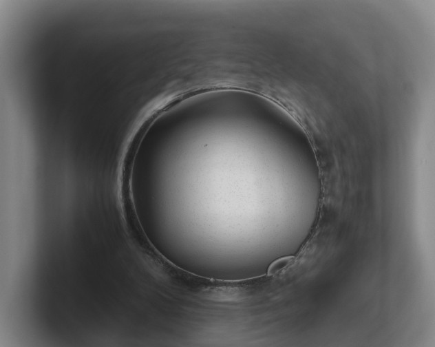 X0000101960104200807251203