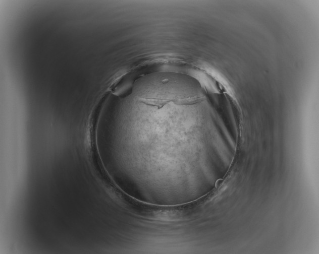 X0000101960105200807251203