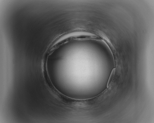 X0000101960106200807251203