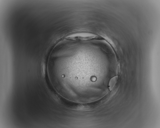 X0000101960109200807251202