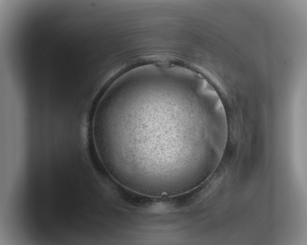 X0000101960111200807251202