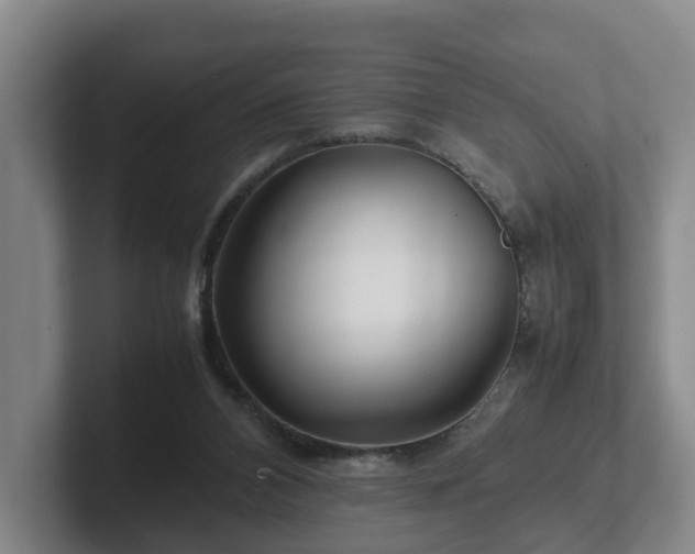 X0000101960112200807251202