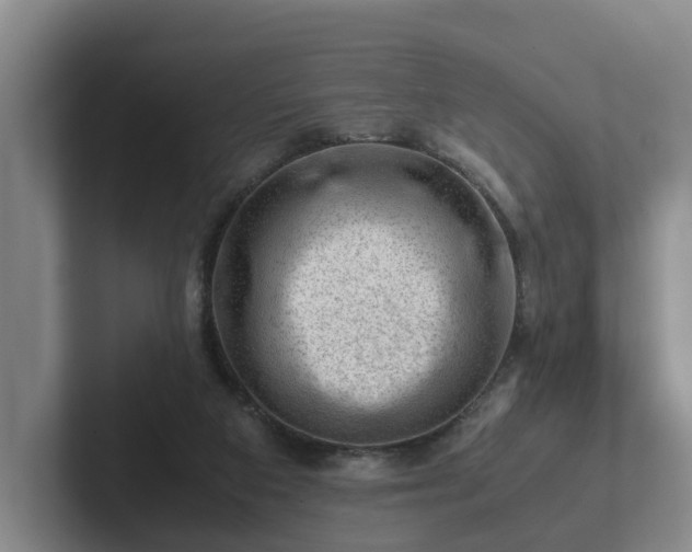 X0000101960113200807251202