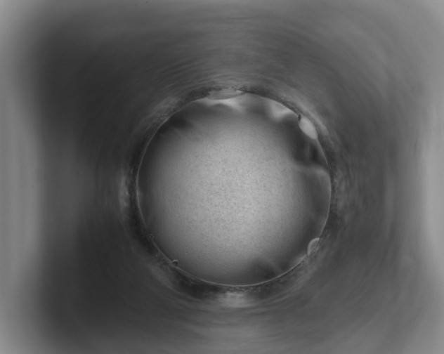 X0000101960114200807251202