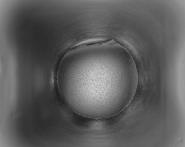 X0000101960115200807251202