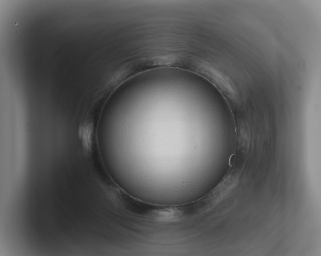 X0000101960118200807251202