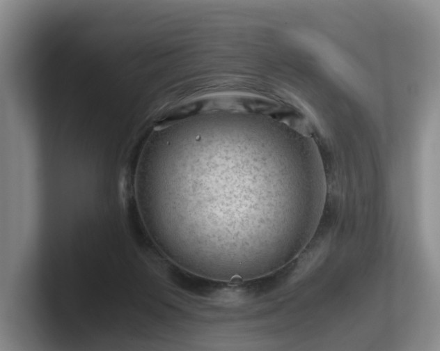 X0000101960119200807251202