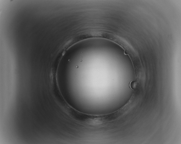 X0000101960120200807251202