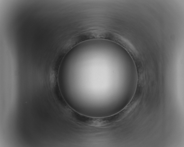 X0000101960121200807251202