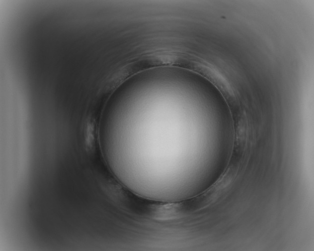 X0000101960122200807251202