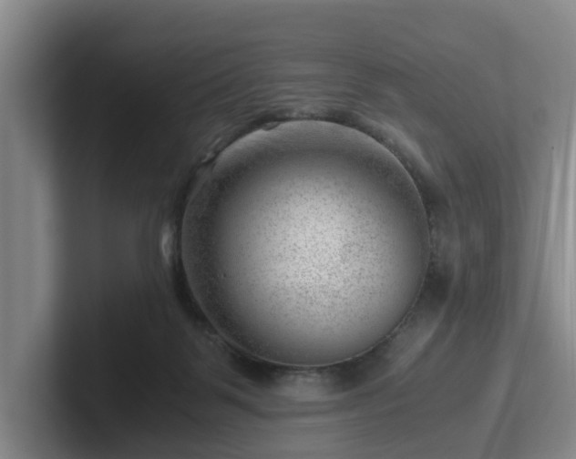 X0000101960123200807251202