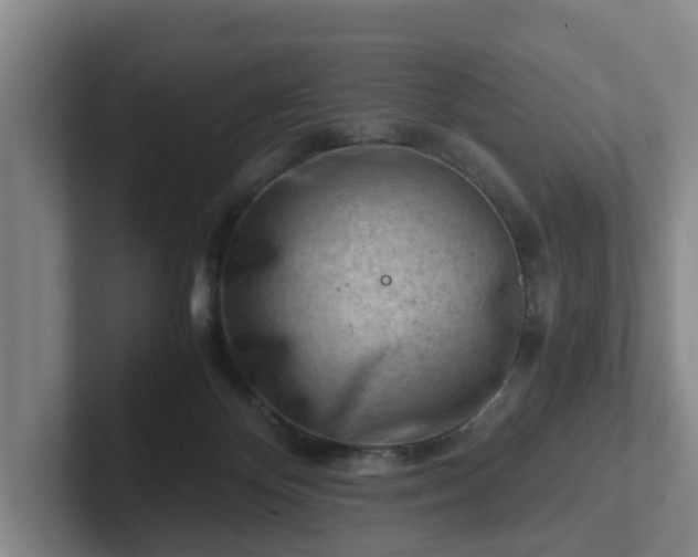 X0000101960124200807251202