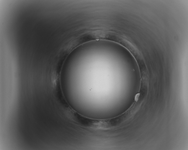 X0000101960125200807251202