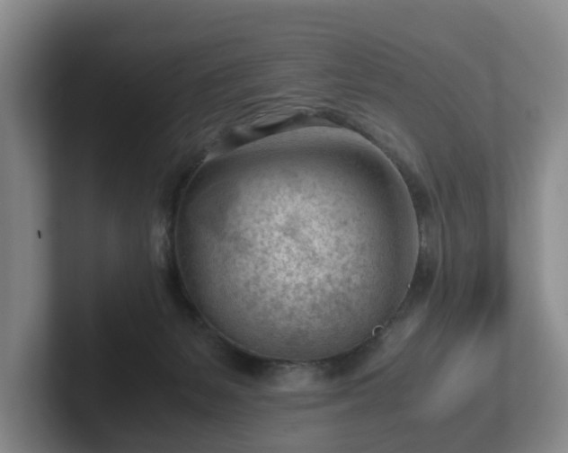 X0000101960127200807251202