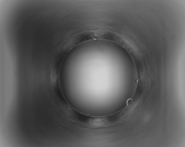 X0000101960129200807251202