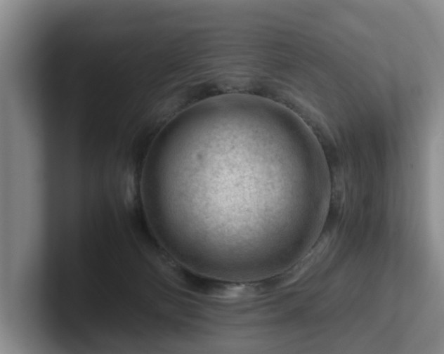 X0000101960130200807251202