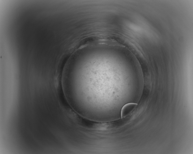 X0000101960131200807251202